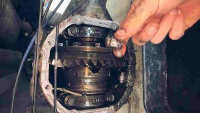 Bad Differential Symptoms