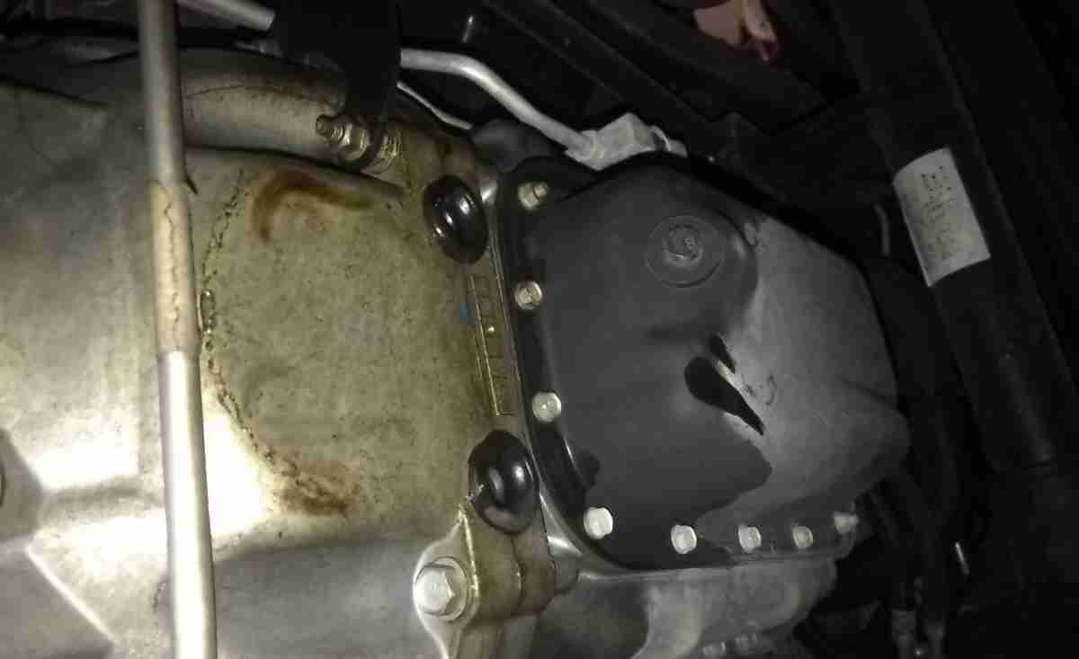 Rear Main Seal Leak Symptoms – Causes and Replacement Cost